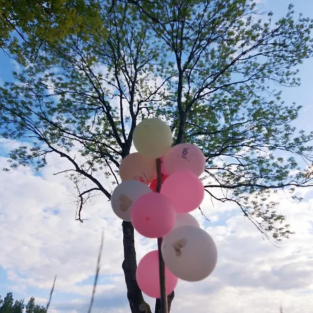 Hinni Talu Puhkemaja Tatil Evi Moksi