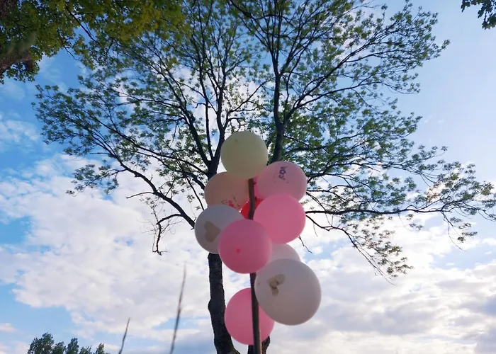 Hinni Talu Puhkemaja 펜션 Moksi