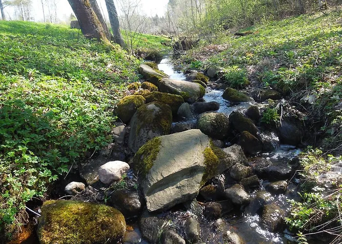 Hinni Talu Puhkemaja 펜션 *